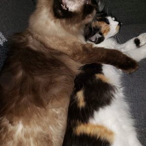 Meet your Posher, Traci